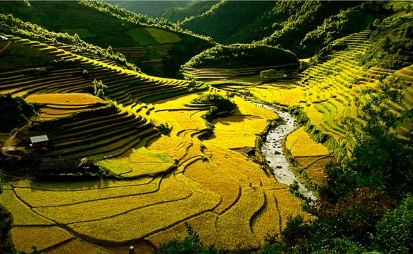 Image result for mu cang chai