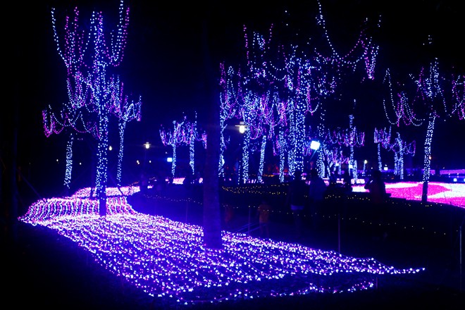noel ở các công viên