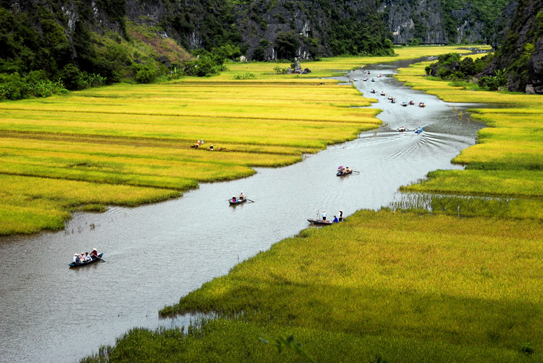 tam cốc